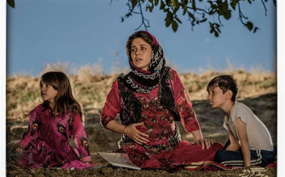 یک میلیون کاربر تلوبیون به تماشای درخت گردو نشستند