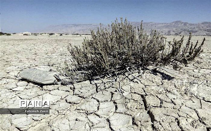 خسارت 28 هزار میلیارد ریالی خشکسالی به محیط زیست ایران