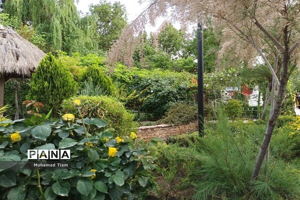 جشنواره گل‌های لاله