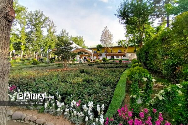 جشنواره گل‌های لاله