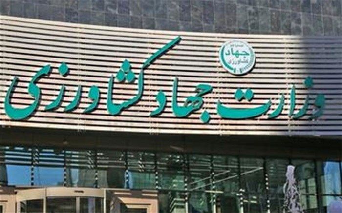 قیمت پایین واردات، عامل گرانی محصولات غذایی تولید داخل است