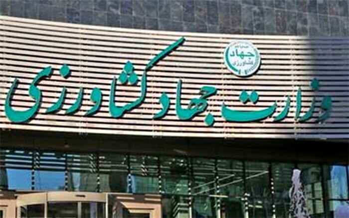 قیمت پایین واردات، عامل گرانی محصولات غذایی تولید داخل است