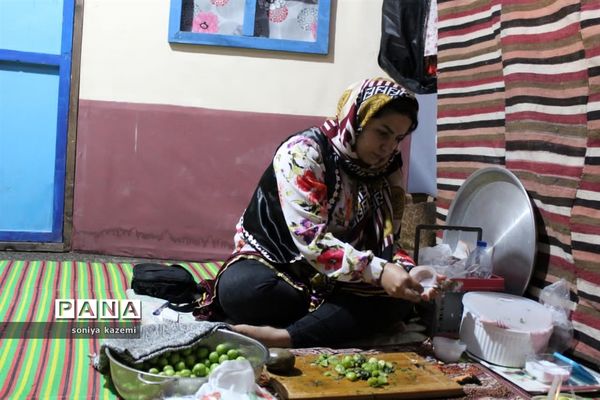 نمایشگاه صنایع‌دستی و سوغات استان‌ها در ساری