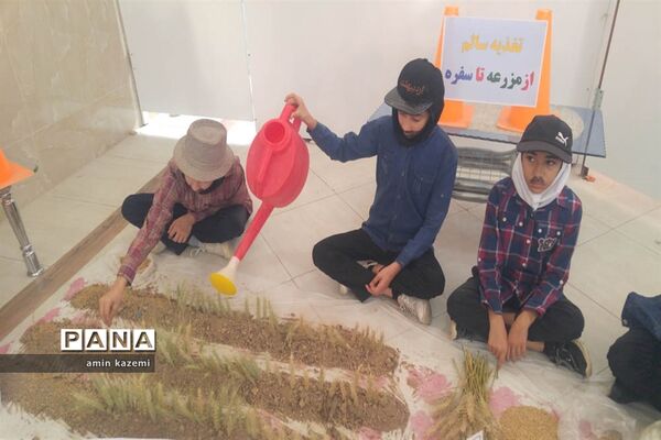 برپایی نمایشگاه هفته سلامت در دبستان مصلح داراب