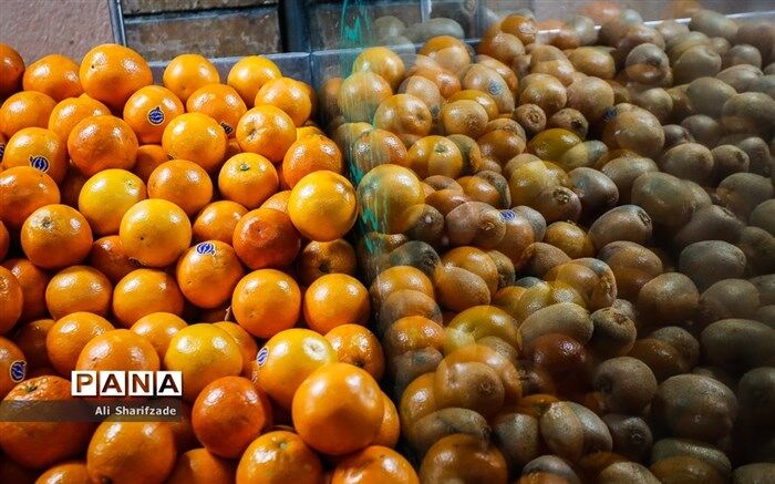 ضرورت راه‌اندازی آزمایشگاه کنترل کیفیت ویژه محصولات میادین میوه‌ و تره‌بار