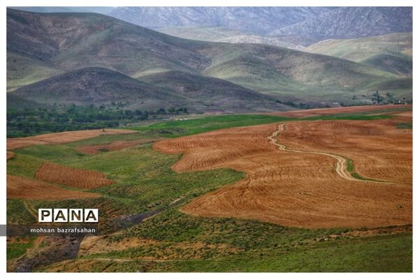 طبیعت بهاری آبگرم قزوین