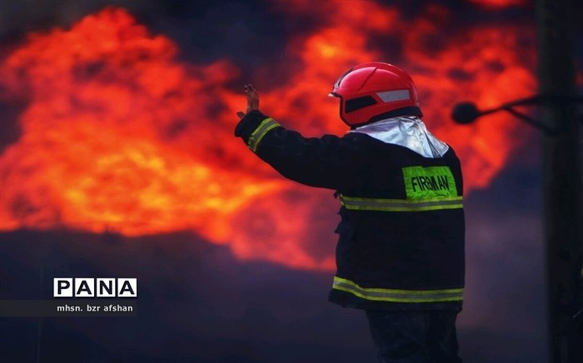 اقدامات شهرداری تهران برای پیشگیری از حریق در بوستان‌های جنگلی