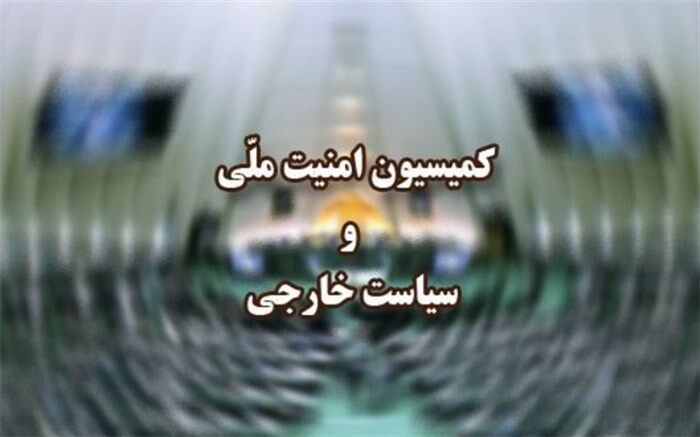 وزیر کشور برای ارائه گزارش درباره ساماندهی اتباع خارجی در کمیسیون امنیت ملی حاضر می‌شود
