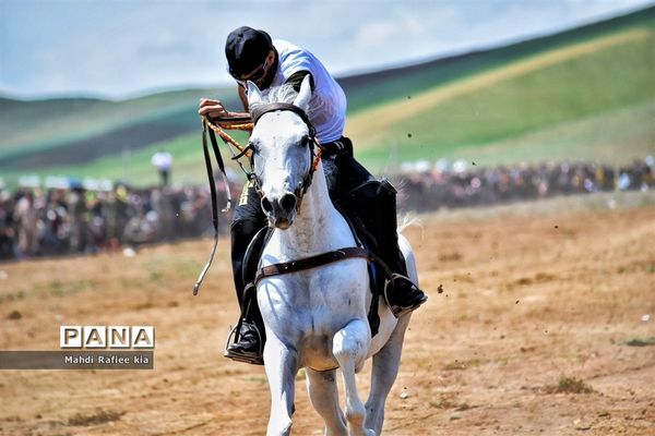 جشنواره‌ای با فرهنگ غنی عشایر