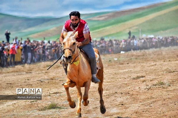 جشنواره‌ای با فرهنگ غنی عشایر