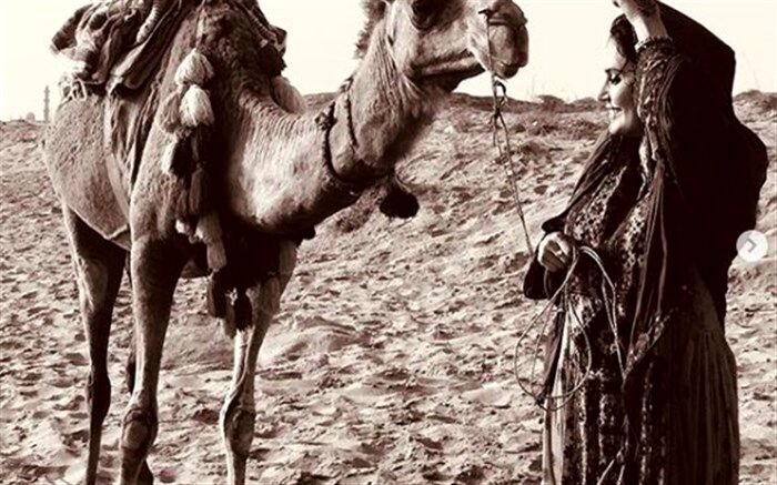 الناز شاکردوست جایزه بازیگری و نیکی کریمی، جایزه کارگردانی گرفت