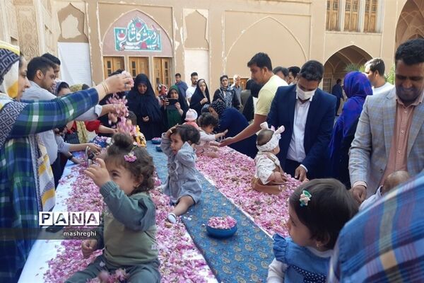 کاشان پایتخت گل و گلاب