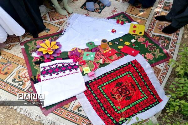 برگزاری اردوی ۲ هزار نفره دانش‌آموز پیشتاز سازمان دانش‌آموزی مرودشت
