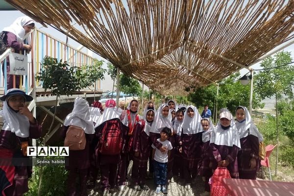 اردوی گردشی و علمی دانش‌آموزان رودهن در مزرعه خورشید دماوند
