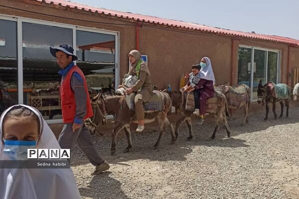 اردوی گردشی و علمی دانش‌آموزان رودهن در مزرعه خورشید دماوند