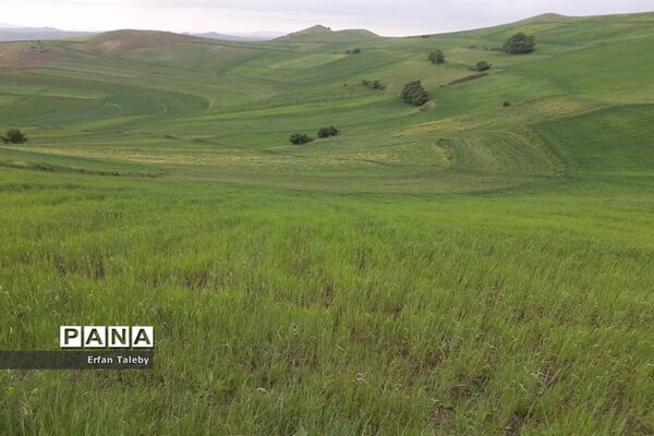 طبیعت زیبای بهاری روستای قیه باشی بزرگ شهرستان کلیبر
