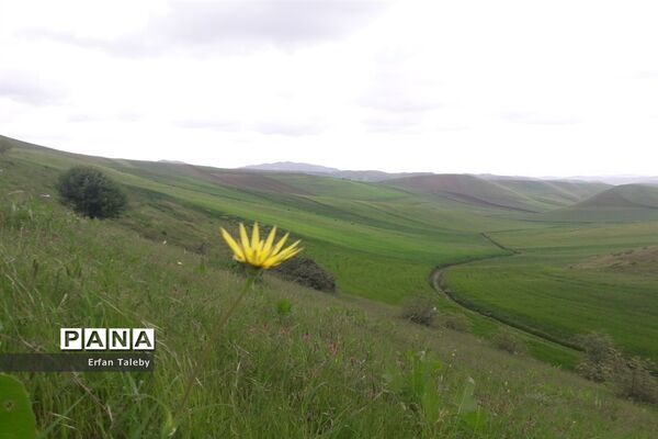 طبیعت زیبای بهاری روستای قیه باشی بزرگ شهرستان کلیبر
