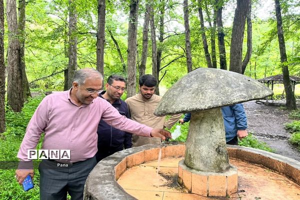 بازدید مدیرکل آموزش و پرورش استان فارس از پارک جنگلی فین