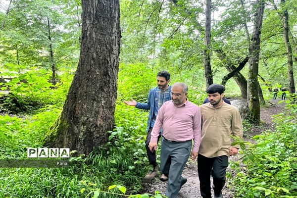 بازدید مدیرکل آموزش و پرورش استان فارس از پارک جنگلی فین