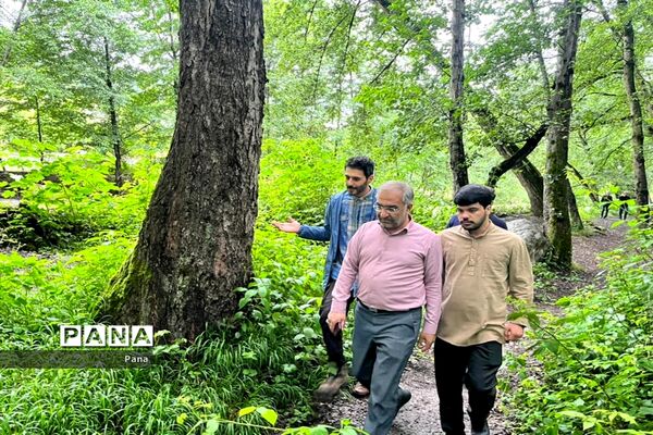 بازدید مدیرکل آموزش و پرورش استان فارس از پارک جنگلی فین