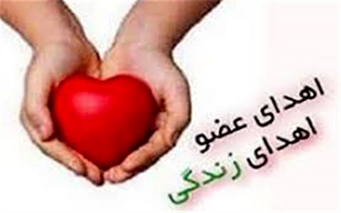 اهدا عضو، اهدای زندگی دوباره/فیلم