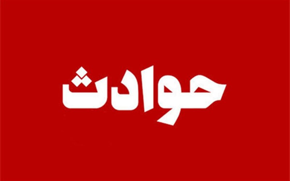 حمله چند سگ بی‌صاحب به دختر بچه 6 ساله در جاسک