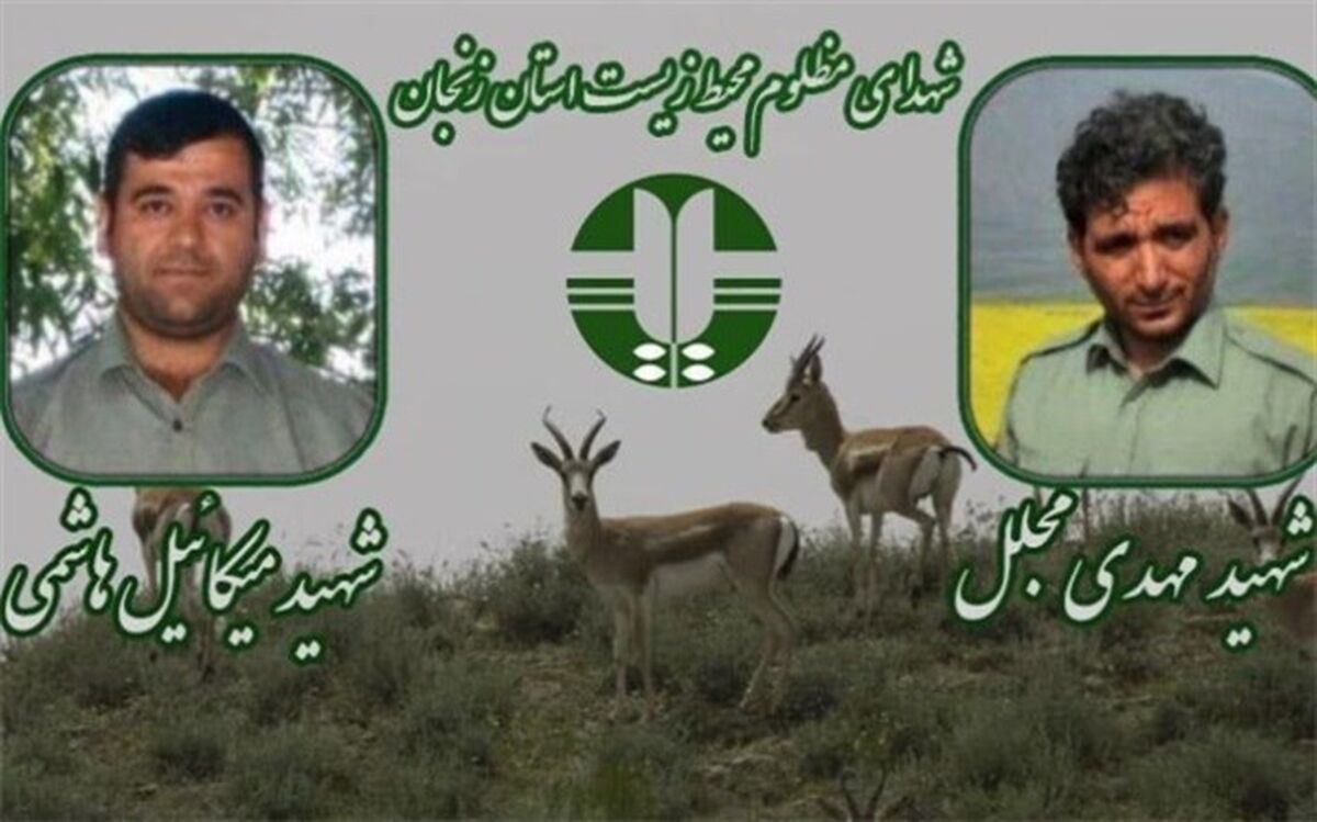 قاتل محیطبانان زنجانی قصاص شد