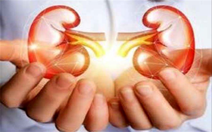 شناسایی ژن‌های موثر در بیماری پلی‌کیستیک کلیه در ایران