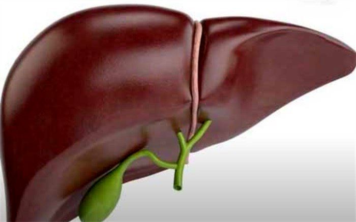 خوراکی‌های مفید برای کبد