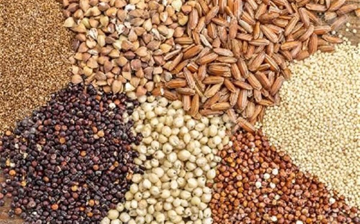 لزوم افزایش ۳۰ درصدی ظرفیت جوجه‌ریزی زنجیره‌های پرورش