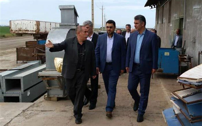 برخورد قانونی با معدوم‌سازی جوجه‌های یک روزه