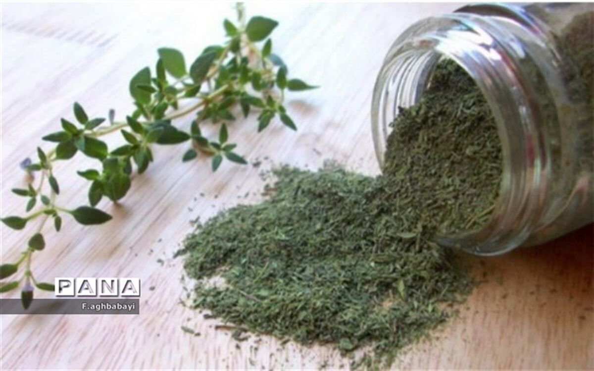 خواص معجزه‌آسای آویشن