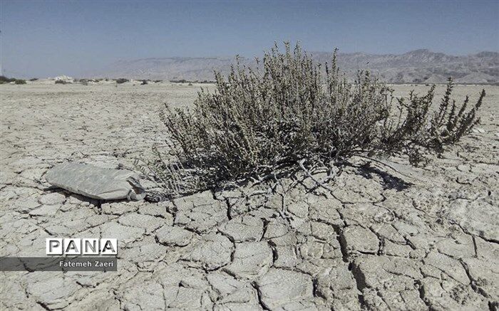 سالانه باید ۳۵۰ هزار  هکتار از نواحی بحرانی در ایران مدیریت شود