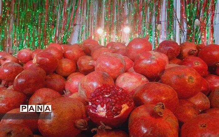 کدام میوه‌ها برای خونسازی در بدن مفید هستند؟