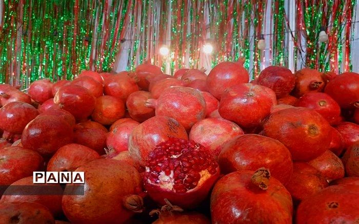 کدام میوه‌ها برای خونسازی در بدن مفید هستند؟