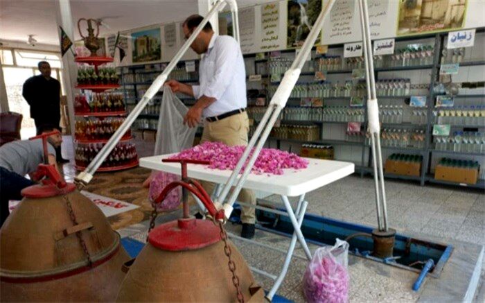 گلاب‌گیری حاصل ذوق و هنرعلاقه‌مندان است