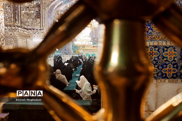 حریم مطهر رضوی در دهه کرامت