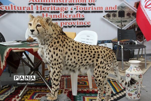 نخستین نمایشگاه گردشگری جهان اسلام