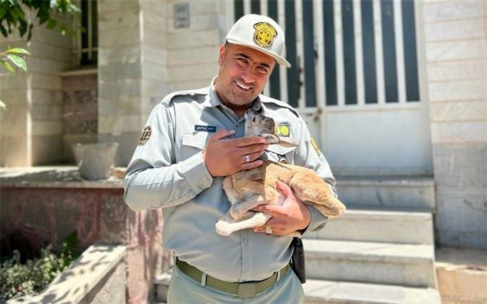 محیط‌بانان وارثان سیره امام رضا(ع) هستند