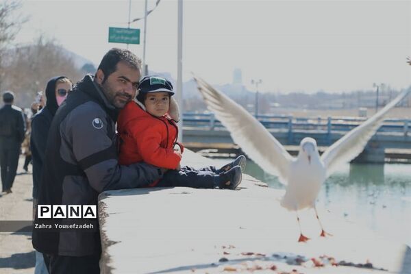 پرندگان مهاجر مهمان این روزهای شیراز