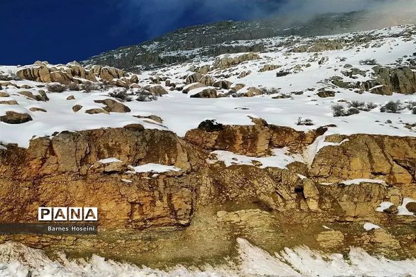 سپیدان سپیدپوش شد