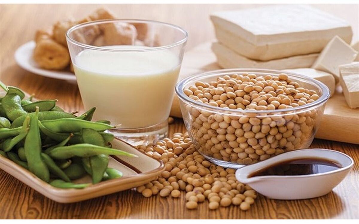 چگونه پروتئین سبب افزایش وزن می‌شود