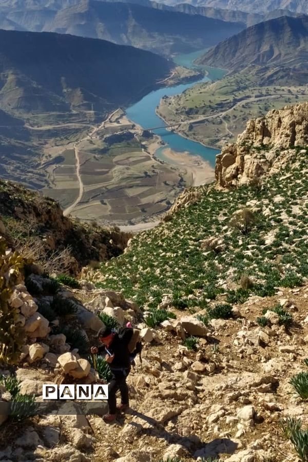 صعودگروه کوهنوردی کوهیاران مسجدسلیمان به کوه کمرو