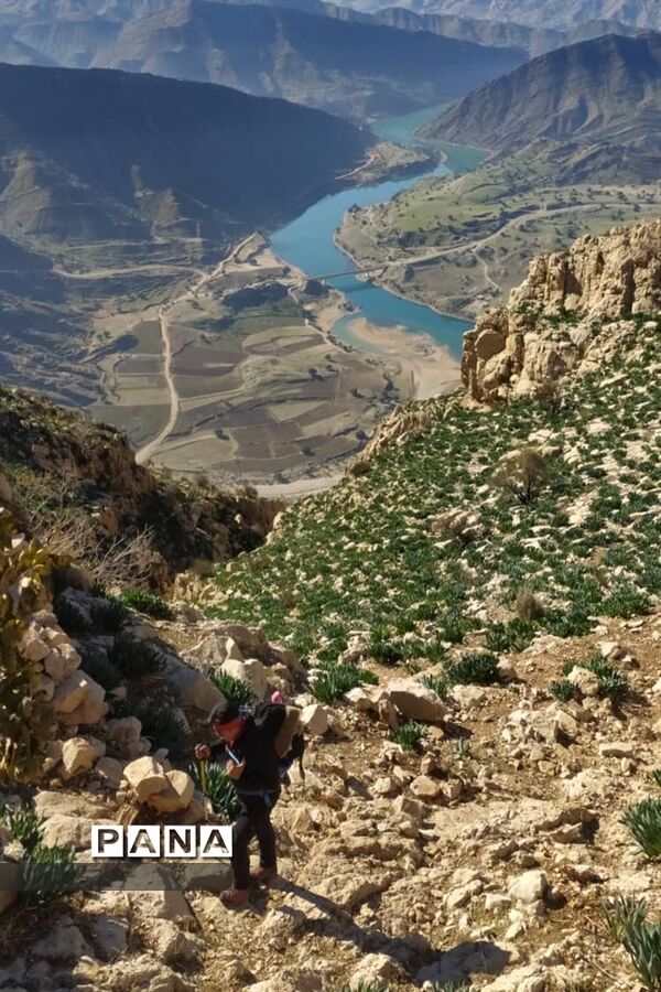 صعودگروه کوهنوردی کوهیاران مسجدسلیمان به کوه کمرو