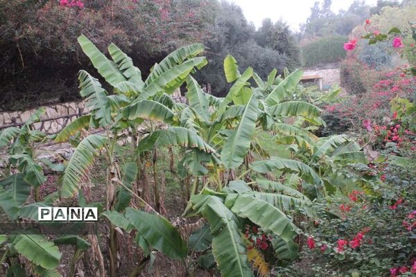طبیعت زیبای بهبهان