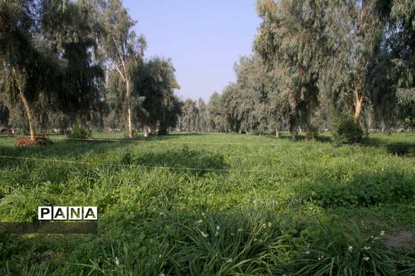 طبیعت زیبای بهبهان