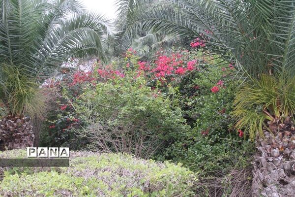 طبیعت زیبای بهبهان