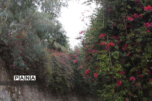 طبیعت زیبای بهبهان