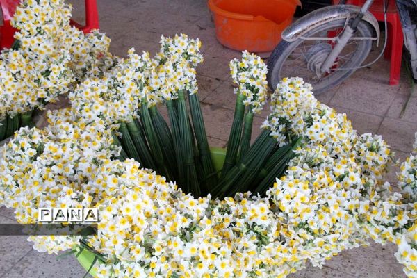 طبیعت زیبای بهبهان