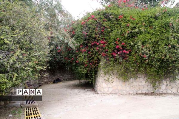 طبیعت زیبای بهبهان